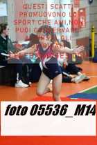 05536_M14-