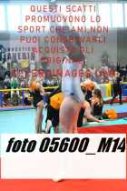05600_M14-
