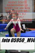 05950_M14-
