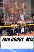 06081_M14-