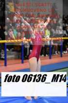 06136_M14-