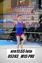 05243_M15-PRE