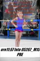 05267_M15-PRE
