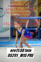 05291_M15-PRE