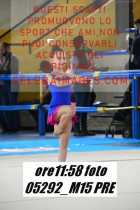 05292_M15-PRE