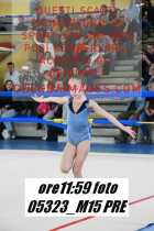 05323_M15-PRE