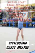 05324_M15-PRE