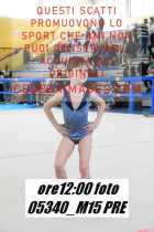05340_M15-PRE