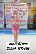 05354_M15-PRE