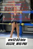 05378_M15-PRE