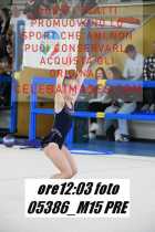 05386_M15-PRE