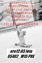 05402_M15-PRE