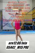 05442_M15-PRE