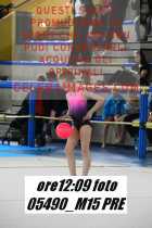 05490_M15-PRE