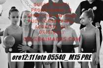05540_M15-PRE