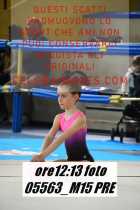 05563_M15-PRE