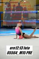 05564_M15-PRE