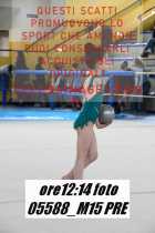 05588_M15-PRE