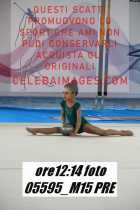 05595_M15-PRE