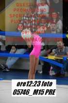 05746_M15-PRE