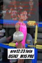 05747_M15-PRE