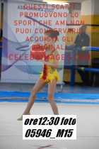 05946_M15-
