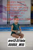 05955_M15-