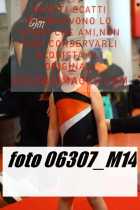 06307_M14-