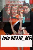 06310_M14-
