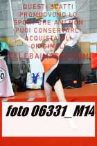 06331_M14-