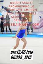 06333_M15-