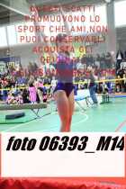 06393_M14-