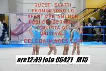 06421_M15-