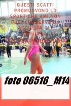 06516_M14-