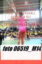 06519_M14-