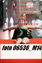 06536_M14-