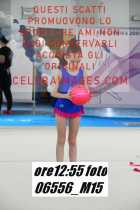06556_M15-