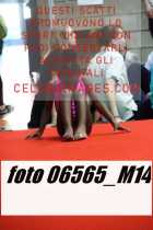 06565_M14-