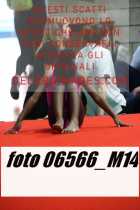 06566_M14-