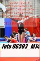 06593_M14-