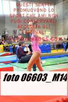 06603_M14-