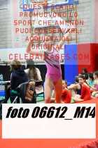 06612_M14-