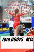 06615_M14-
