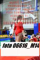 06616_M14-