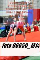 06650_M14-