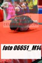 06651_M14-
