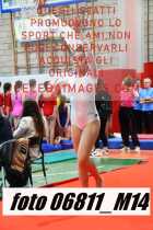 06811_M14-