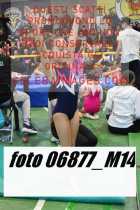 06877_M14-