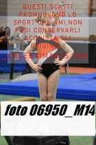 06950_M14-