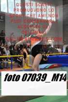 07039_M14-